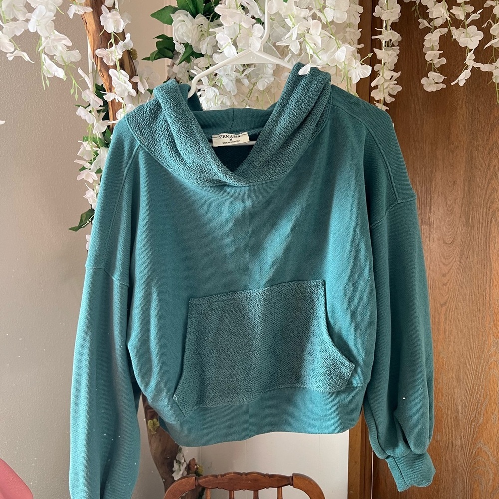Teal Cozy Hooded Sweater by Wild Fable